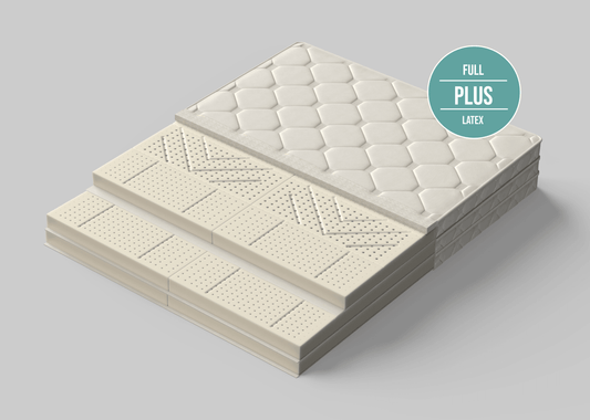 Naturforscher Altum — Fest